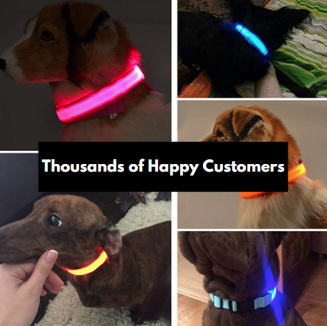 Premium LED Adjustable Dog Collar with Flashing Safety Lights