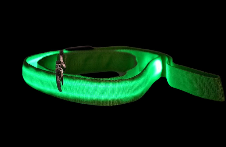 LED Dog Leash