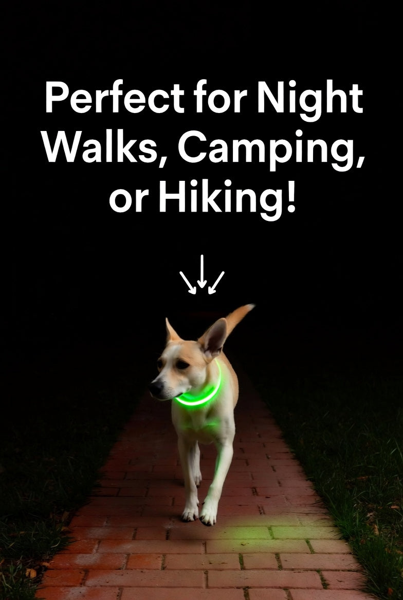 Premium LED Adjustable Dog Collar with Flashing Safety Lights