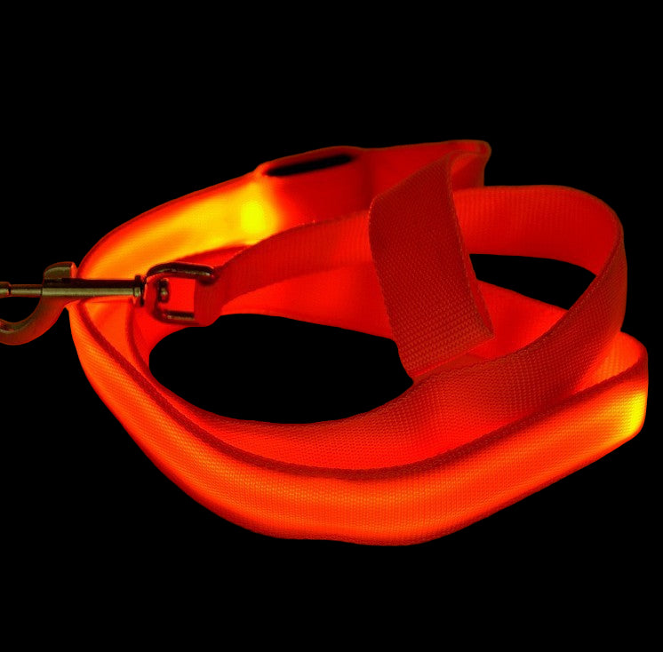 LED Dog Leash