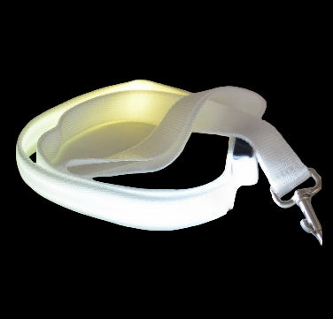 LED Dog Leash