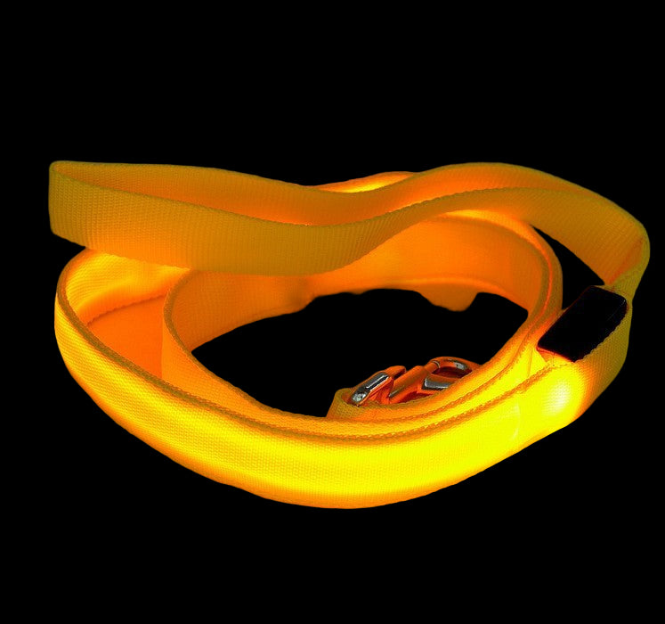 LED Dog Leash