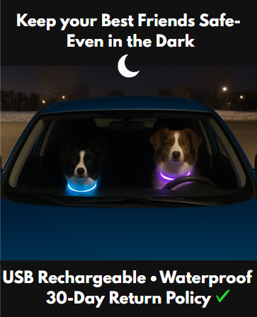 Premium LED Adjustable Dog Collar with Flashing Safety Lights