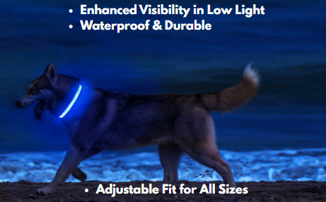 Premium LED Adjustable Dog Collar with Flashing Safety Lights