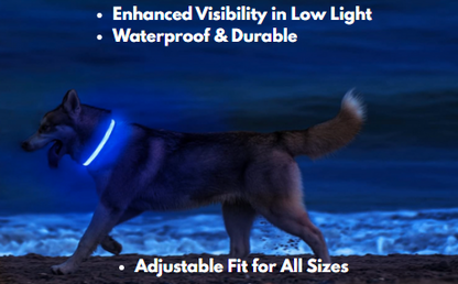 Premium LED Adjustable Dog Collar with Flashing Safety Lights