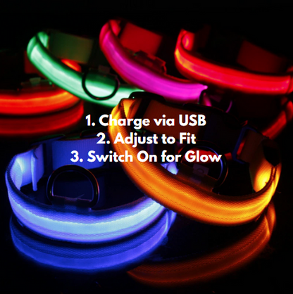 Premium LED Adjustable Dog Collar with Flashing Safety Lights